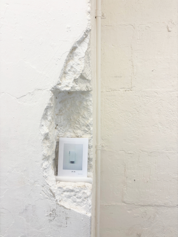 pic of Derivatives 6